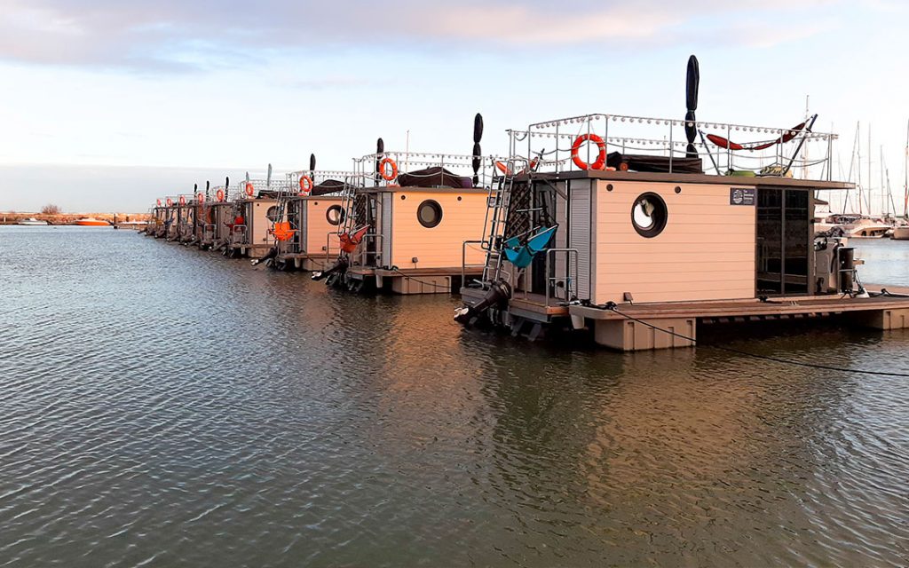 Sostenibilidad ambiental